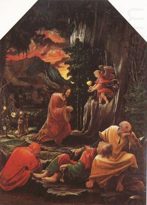 Albrecht Altdorfer The Agony in the Garden (mk08) china oil painting image